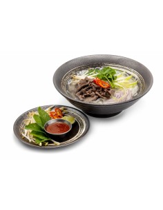 66R. PHO VIETNAM mit Rindfleisch