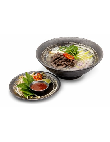 66R. PHO VIETNAM mit Rindfleisch